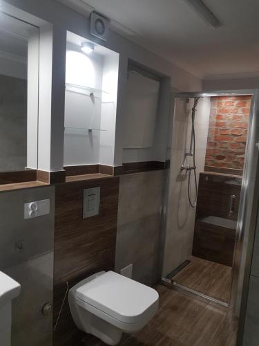 une salle de bain avec toilettes et douche dans l'établissement IZERSKA ZATOKA, à Stara Kamienica