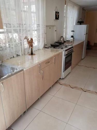 a kitchen with a stove and a refrigerator at Racha guest house MERO in Ambrolauri