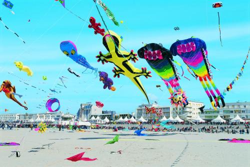 a bunch of kites flying in the sky on a beach at Perle d'Opale T2 FACE MER BALNÉO-SPA PARKING PRIVÉ WIFI NETFLIX HÔTEL&LOGDE 4 PERS in Berck-sur-Mer
