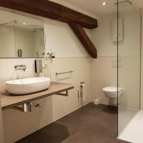 a bathroom with a sink and a toilet at Hotel Lekker in Neumagen-Dhron