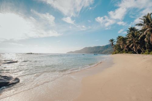 a sandy beach with palm trees and the ocean at Moulin Kann Villas in Mahe