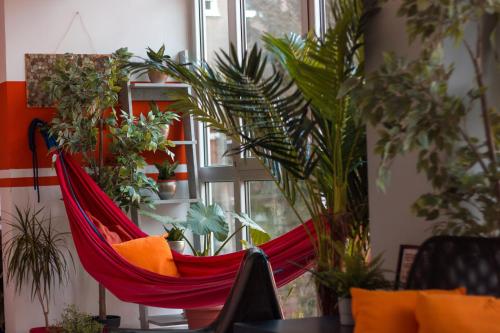 a hammock in a room filled with plants at Funk Lounge Hostel in Zagreb