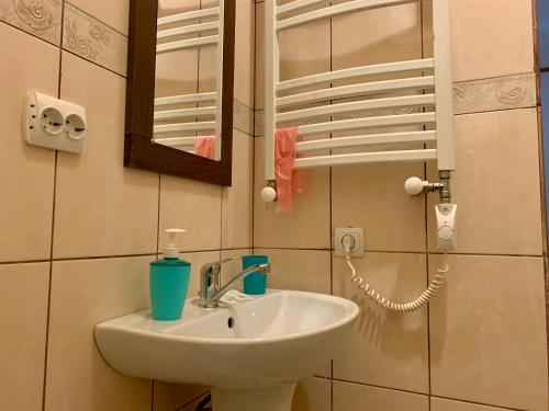 a bathroom with a sink and a mirror at Chalet Vedmezhe in Polyana