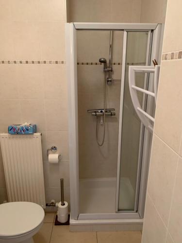 La salle de bains est pourvue d'une douche en verre et de toilettes. dans l'établissement Sunny Studio in the heart of Sint-Idesbald, à Coxyde