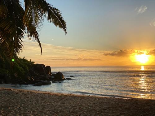 a sunset on the beach with a palm tree at Moulin Kann Villas in Mahe