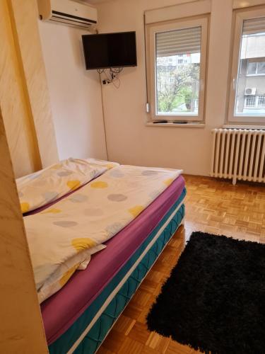 ein Schlafzimmer mit einem Bett in einem Zimmer mit einem TV in der Unterkunft Apartment Delta Sava New Belgrade in Belgrad