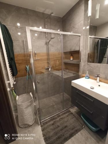 a bathroom with a shower and a sink at Nowoczesny Apartament przy Manufakturze z parkingiem podziemnym i klimatyzacją in Łódź