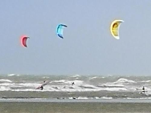 a group of people flying kites in the ocean at Zeester en koffie. in Oostduinkerke-Bad