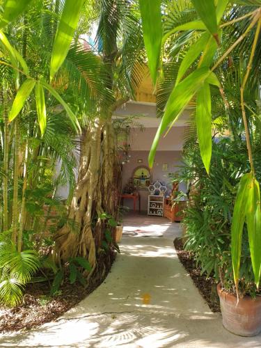 a hallway with trees and plants in a building at Casa Don Diego in Tulum