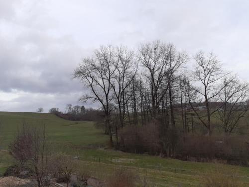 un grupo de árboles en un campo verde en Gîte al fontaine, en La-Roche-en-Ardenne