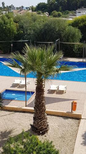 NISSI BEACH POOL VIEW APARTMENT FREE WIFI