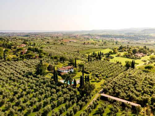 an aerial view of a vineyard with a house in the middle at PODERI LA ROCCHETTA Countryside Estate on the Hills of Lake Garda in San Felice del Benaco