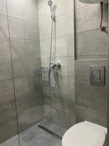 a shower stall with a toilet in a bathroom at Apartments Jankovic in Belgrade