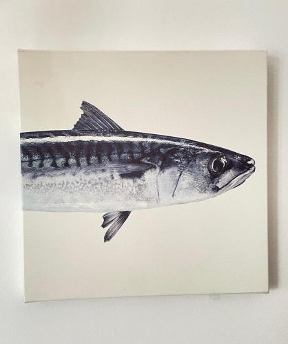 a drawing of a fish on a wall at Bertoko Urdaibai II in Bermeo
