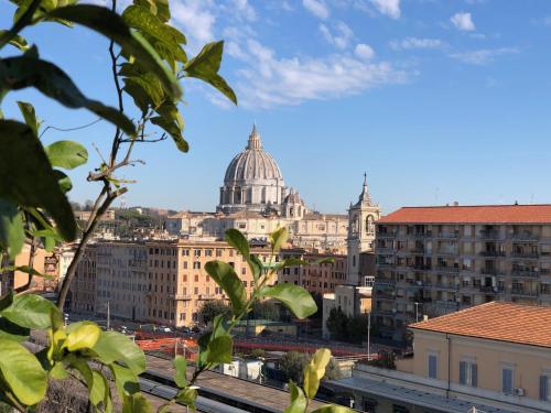 Delmirani's Book Apartments - Vatican View photo 130