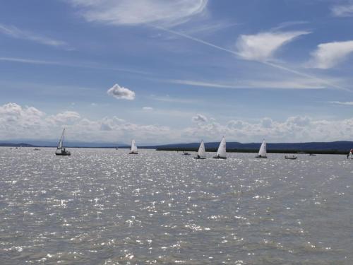 a group of sailboats on a large body of water at Ferienhaus Sonja in Donnerskirchen