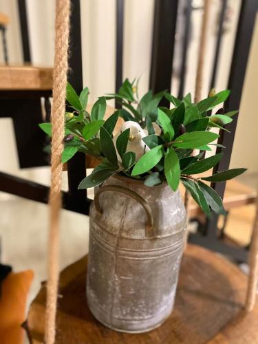 a jar with a plant in it on a table at Chalet Kvariati in Kvariat'i