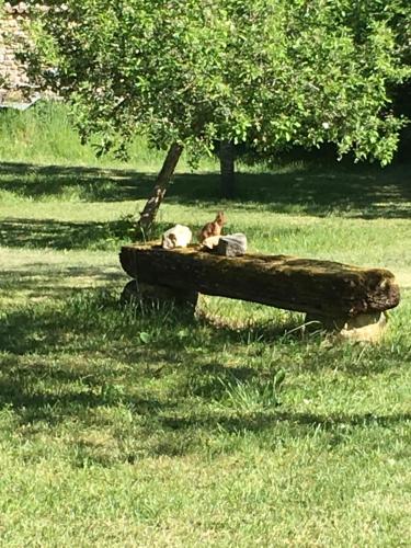 La Grange aux dames في Geville: شخصان يجلسون على قطعة خشب في حقل