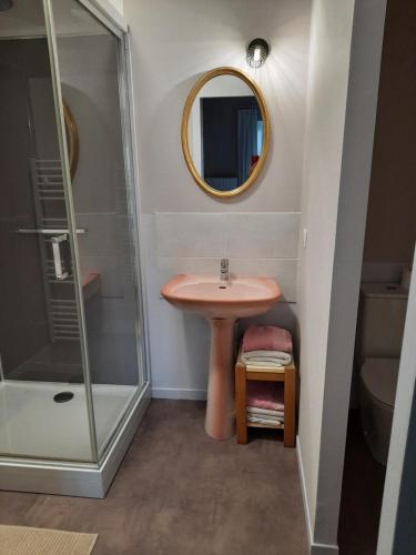 a bathroom with a sink and a shower at La Grange aux dames in Geville