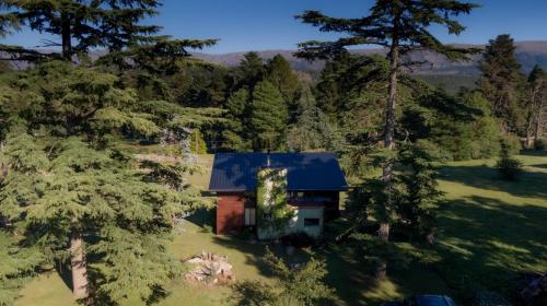 una vista aérea de una casa en el bosque en La Azotea cabañas & suites en La Cumbrecita