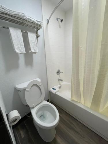 a white bathroom with a toilet and a shower at Dreamland Inn in Marion
