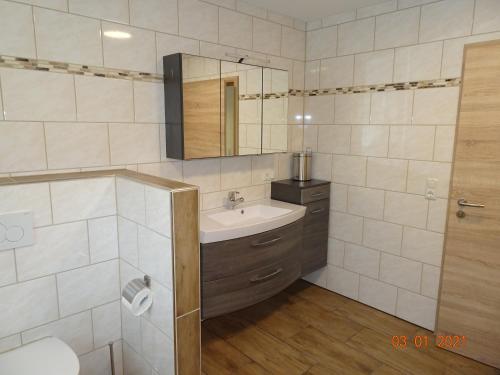 a bathroom with a sink and a mirror at Fichtelhaisla in Röslau