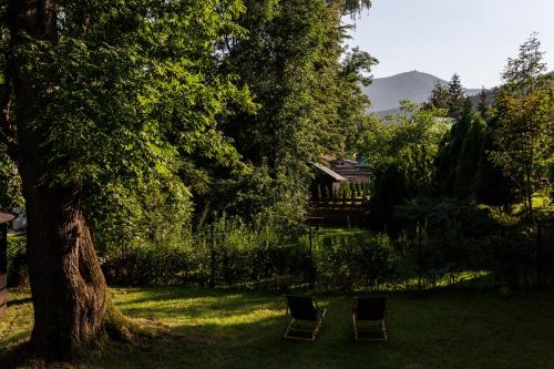 two chairs sitting in the grass under a tree at DOM GÓRY LAS - ADULTS - w kameralnej okolicy centrum Karpacza in Karpacz