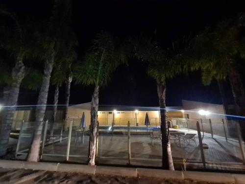 a group of palm trees in front of a building at Cottonwood Motor Inn in Mildura