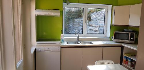 cocina con paredes verdes, fregadero y microondas en Cozy house, en Turnhout