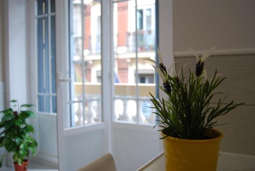 Hostal Madrid Star