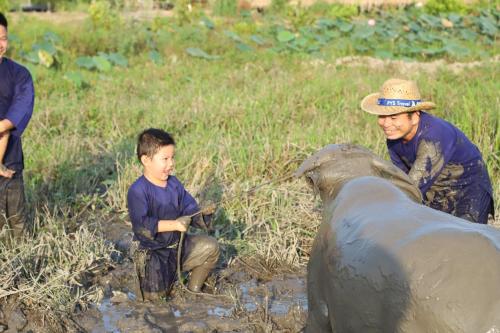 Επισκέπτες που μένουν στο Việt Mekong Farmstay