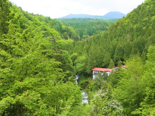 a view of a valley with a river and a house at Yama no Yado Meiji Onsen in Chino
