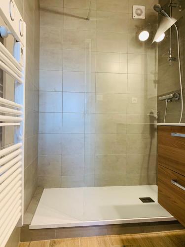 une salle de bain avec une douche avec une porte vitrée dans l'établissement Joli 2 pièces Rénové au Calme à Saint-Malo/Quartier Saint Servan, à Saint-Malo