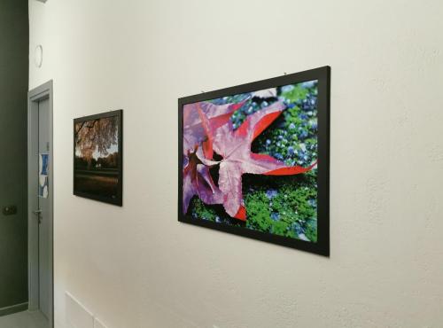 two pictures hanging on a white wall at B&B e Ostello, Parco di Monza, CASCINA COSTA ALTA in Monza