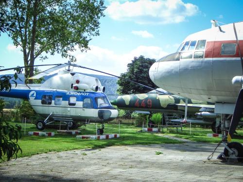 two airplanes are parked in a field at Ferienhotel Goldhübel in Neuhausen