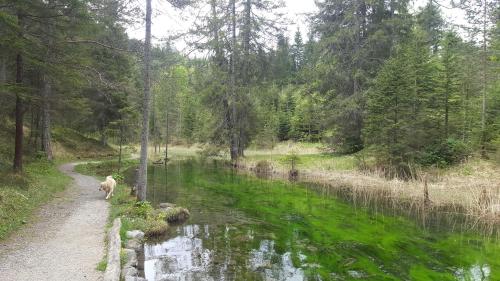 Un paisaje natural cerca del departamento