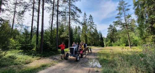 a group of people riding on a horse drawn carriage on a dirt road at Agroturystyka na Słonecznej Orawie u Dzikich in Jabłonka