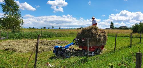 a man standing on top of a pile of hay in a field at Agroturystyka na Słonecznej Orawie u Dzikich in Jabłonka