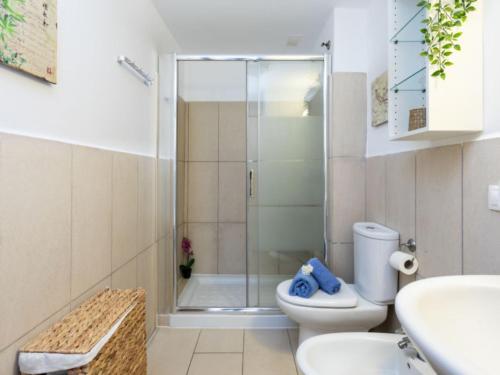 a bathroom with a shower and a toilet and a sink at Arenas del Porís in Arico el Nuevo