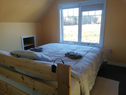 a bedroom with a bed with a large window at North Shore Retreat - OFF-GRID - OCEANfront in Indian Brook