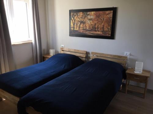a bedroom with two beds with blue sheets and a picture on the wall at Agriturismo Il Capitolo in Carpaneto Piacentino