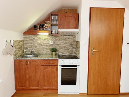 Kuchyň nebo kuchyňský kout v ubytování Apartmán Karlovice