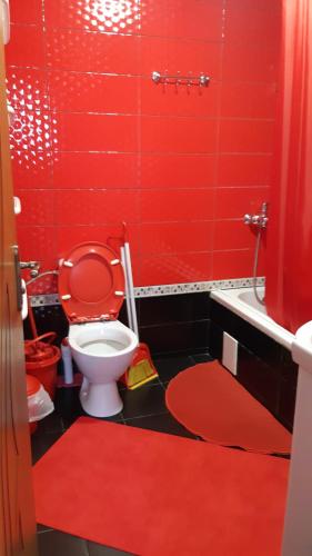 a red bathroom with a toilet with a red wall at Dacha PODOBOVETS 127 in Podobovets