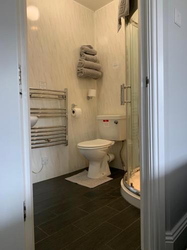 a bathroom with a toilet and a shower at Armada Guesthouse in Redcar