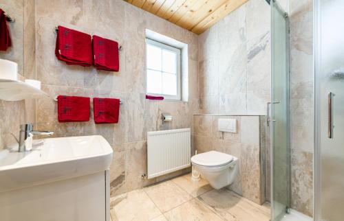 a bathroom with a toilet and a sink and a shower at Tyroler Hof in Grän