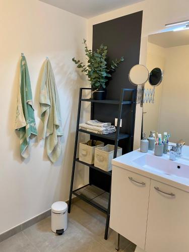 La salle de bains est pourvue d'un lavabo et d'une étagère. dans l'établissement NOUVEAU - Jungle Montpeul - Clim - Wifi fibre - Netflix - 5' du centre et gare - Parking - Loggia - 15' des plages, à Montpellier