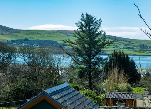 a view from the roof of a house with a tree at Dingle Town Holiday Home by Trident Holiday Homes in Dingle