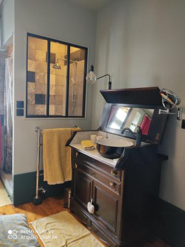 a kitchen with a counter top with a sink at Villa Chanelle in Les Rosiers-sur-Loire