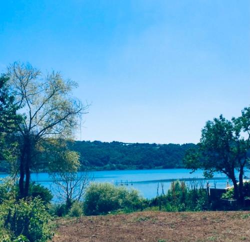 a view of a lake with trees in the background at Agriturismo Le Grotte in Nemi