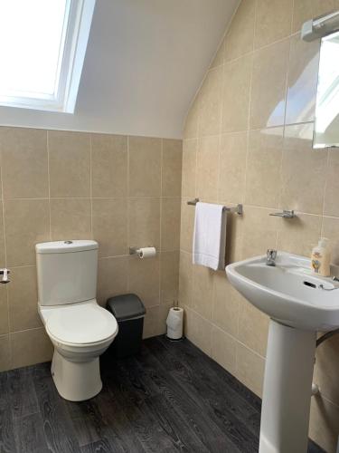 a bathroom with a toilet and a sink at Newcastle Townhouse in Galway